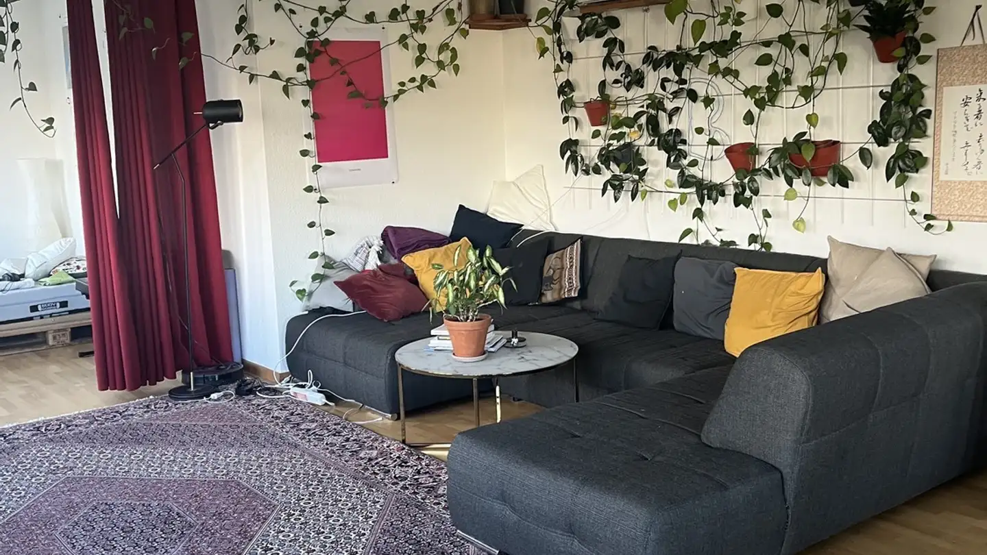 Stanza singola in affitto - 8002 Zürich