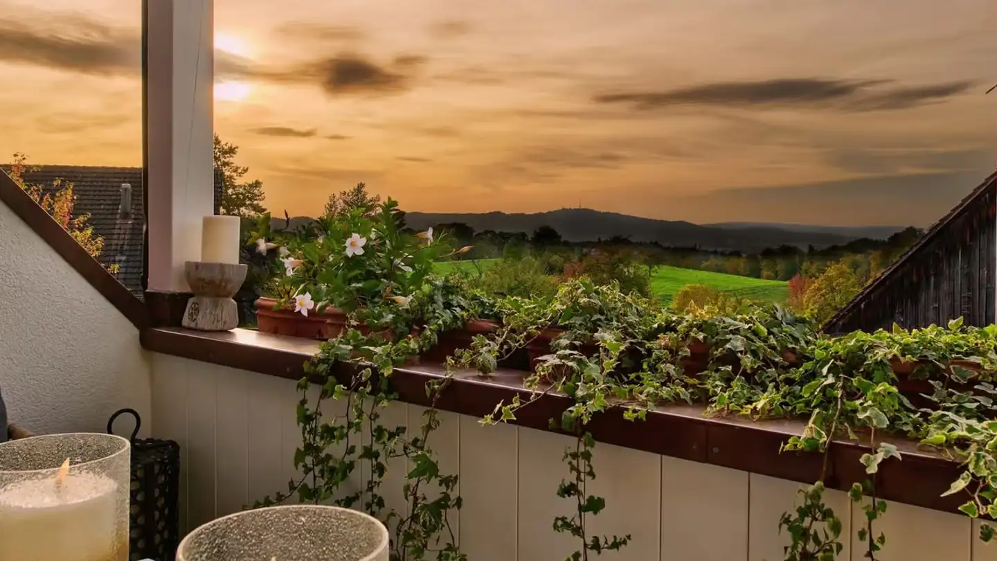 Duplex à louer - Sennhofstrasse 11, 8125 Zollikerberg