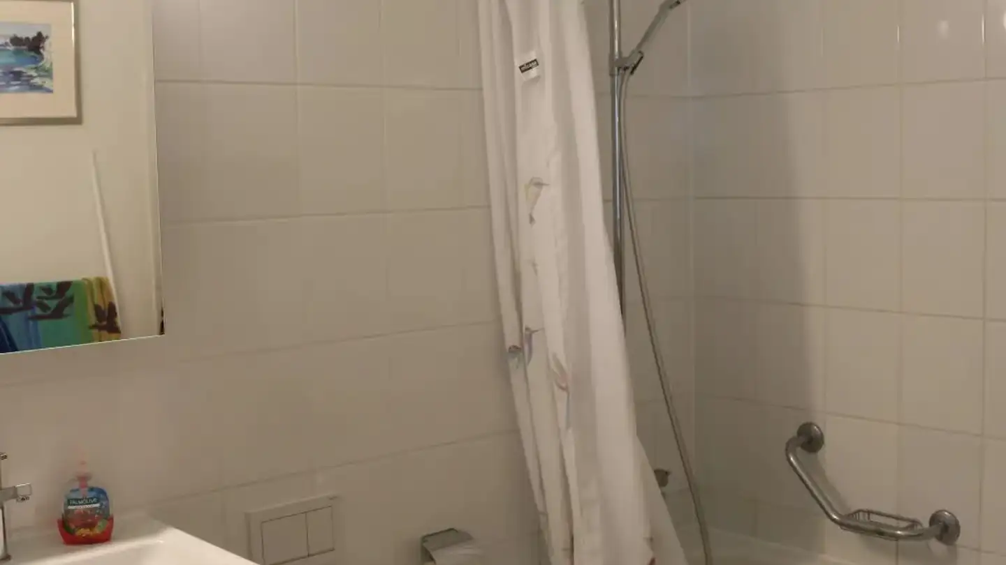 Chambre à louer - Robert-Sulzer-Gasse, 8400 Winterthur - Photo 3