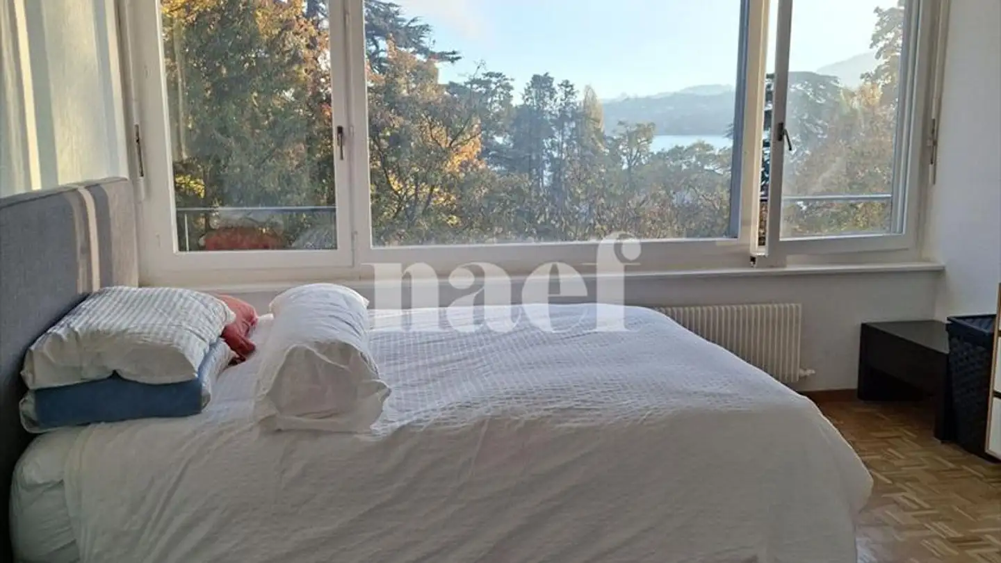 Appartamento in affitto - Parc Du Château-Banquet 20, 1202 Genève - Foto 3