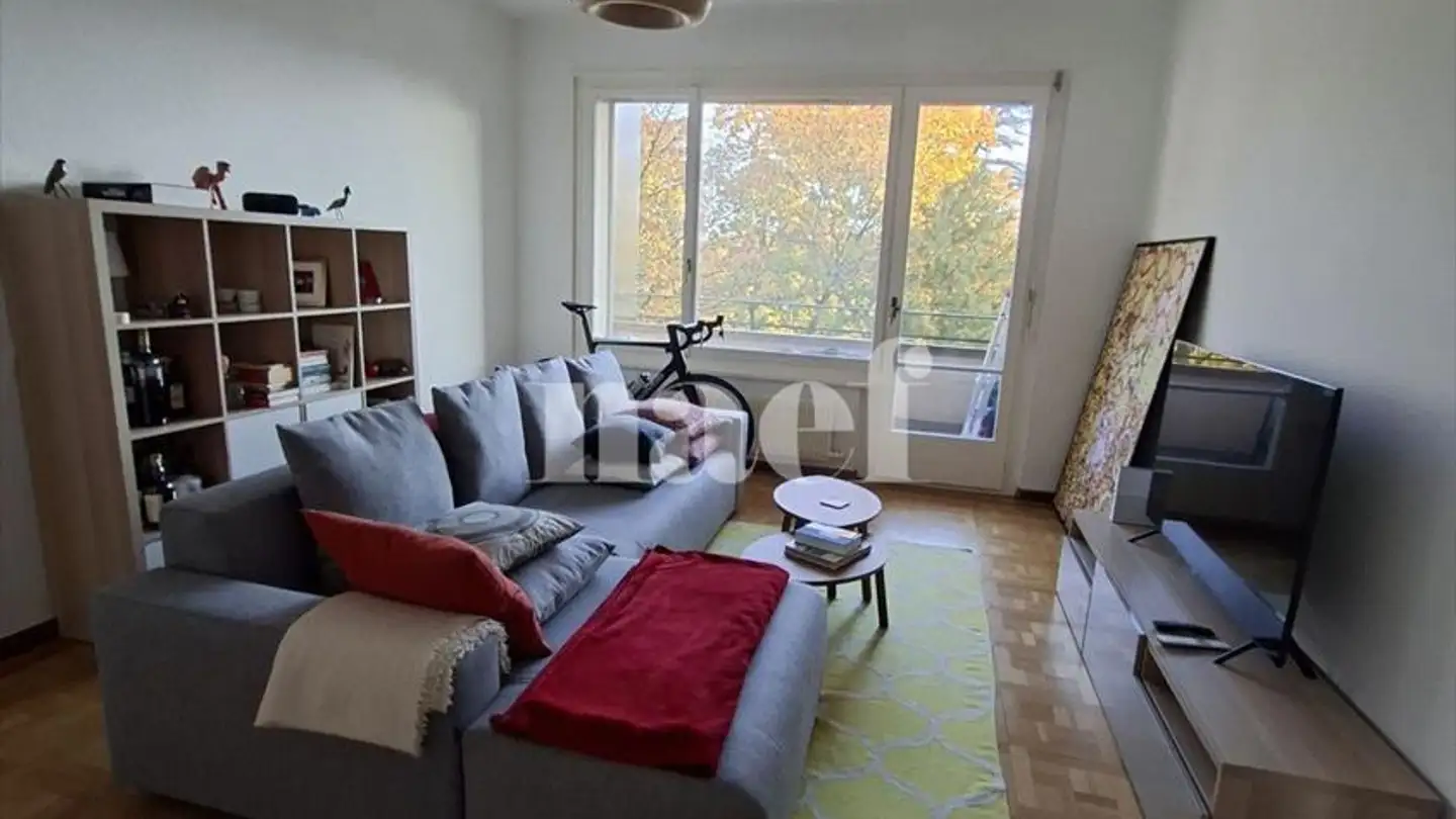 Appartamento in affitto - Parc Du Château-Banquet 20, 1202 Genève - Foto 4