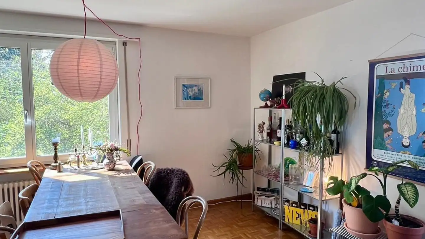 Stanza singola in affitto - 8053 Zürich