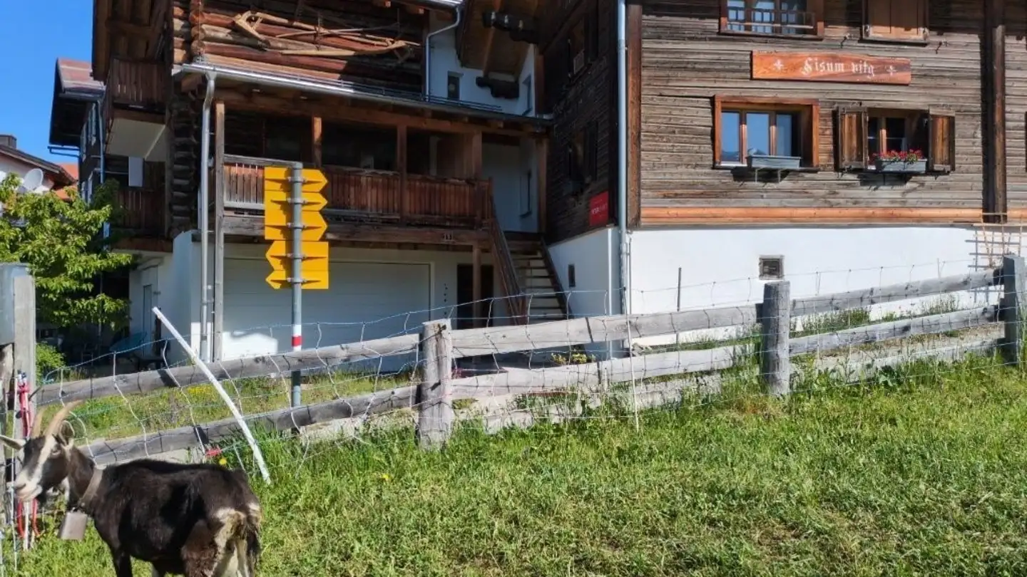 Attique à louer - Sterna 3, 7404 Feldis/Veulden
