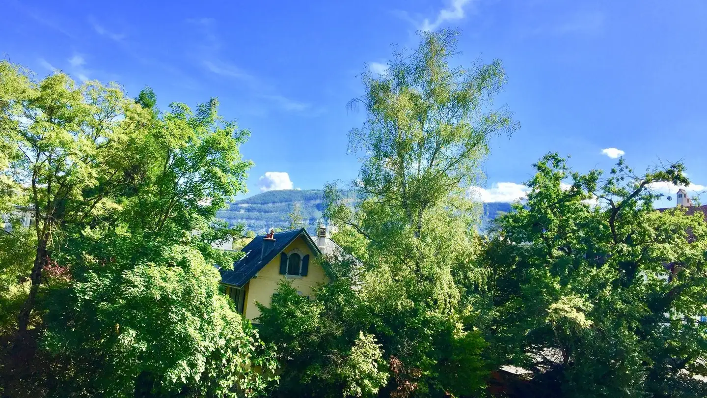 Apartment for rent - Route De Florissant 86c, 1206 Genève - Photo 2