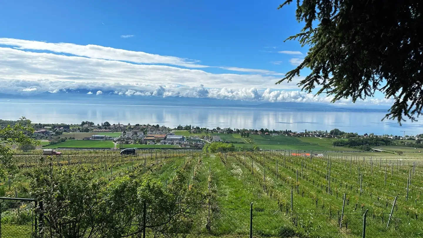 Single house for sale - 1172 Bougy-Villars - Photo 2