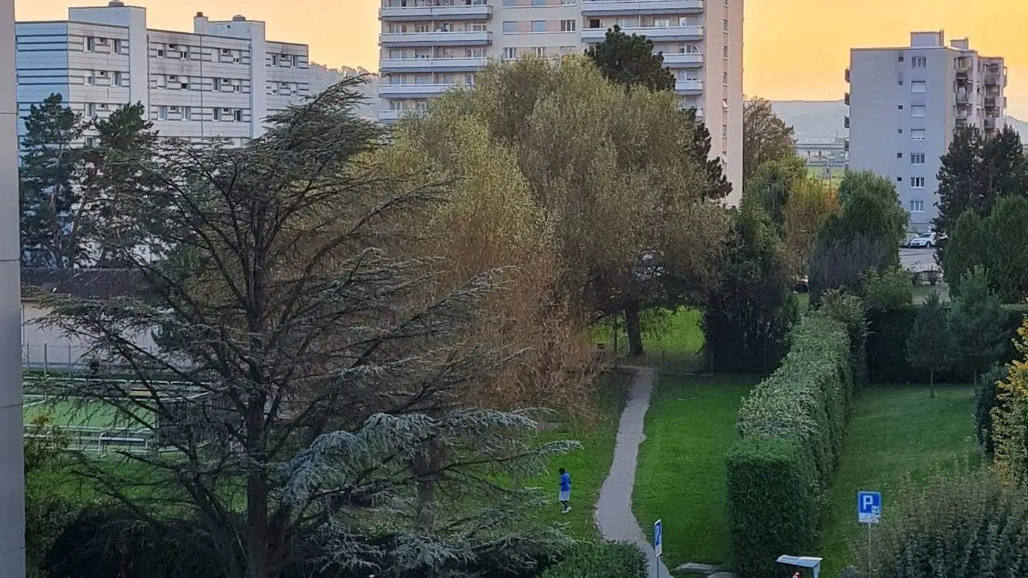 Appartement à louer - Rue Elie-Bertrand 2, 1400 Yverdon-les-Bains