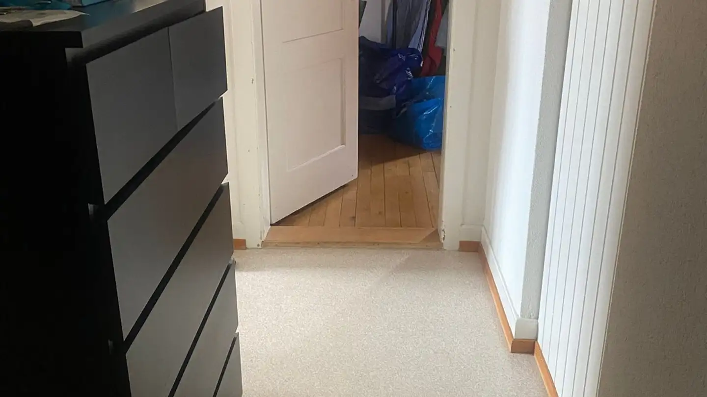 Furnished apartment for rent - Zschokkestrasse 39, 8037 Zürich - Photo 3