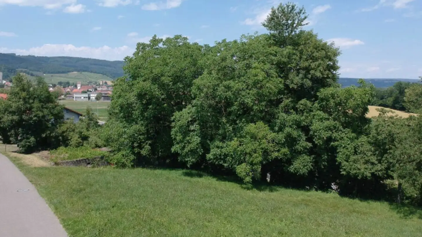 Constructible plot for sale - Schlossweg, 5106 Veltheim AG - Photo 2