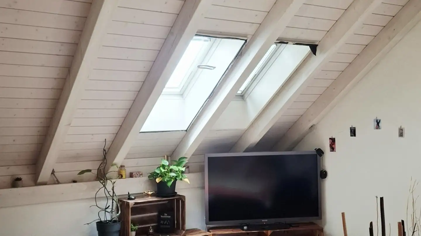 Appartamento in affitto - 5525 Fischbach-Göslikon