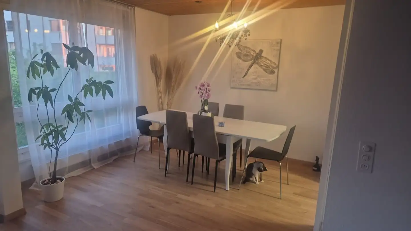 Appartamento in affitto - Oberer Chaletweg 14, 3072 Ostermundigen - Foto 3