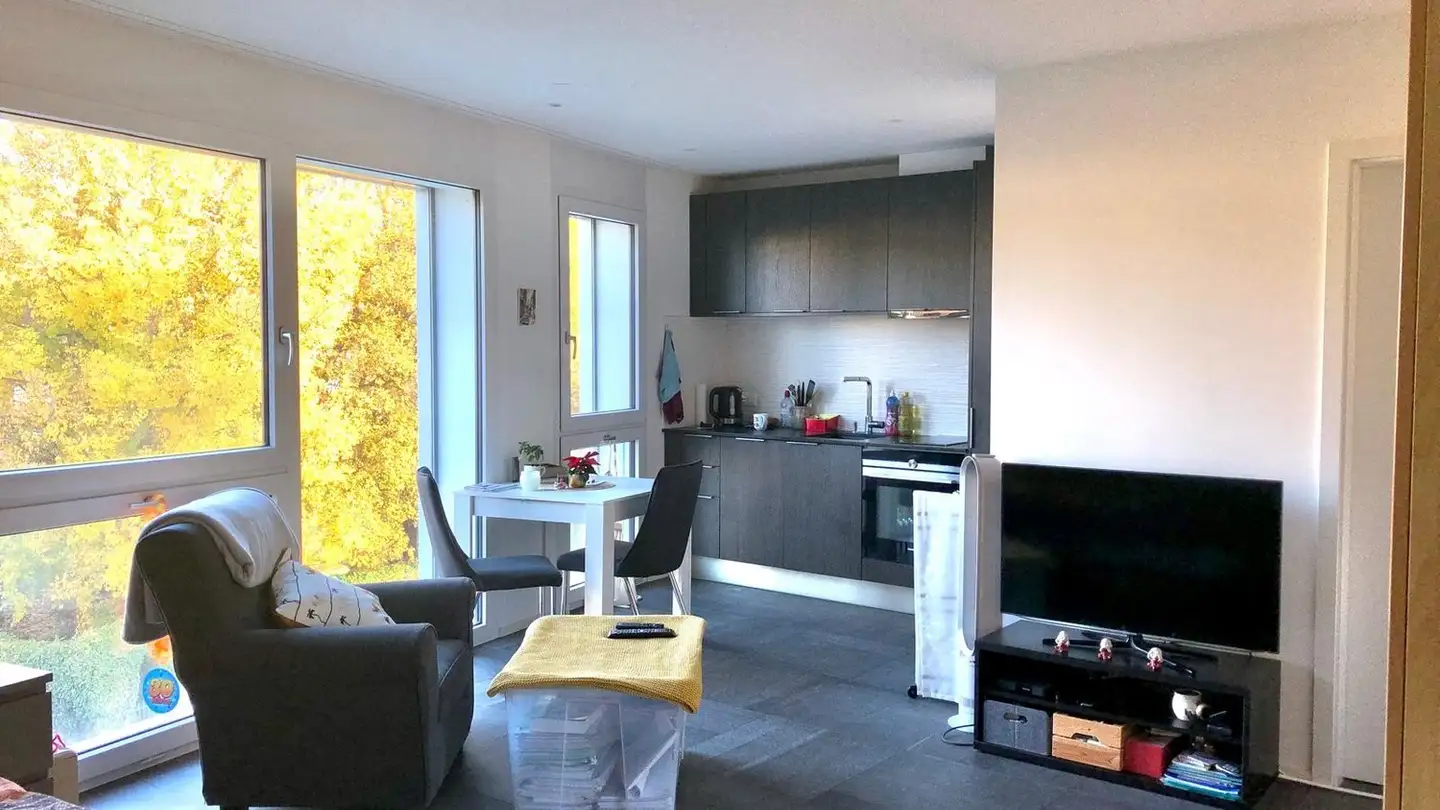 Appartamento in affitto - 8045 Zürich