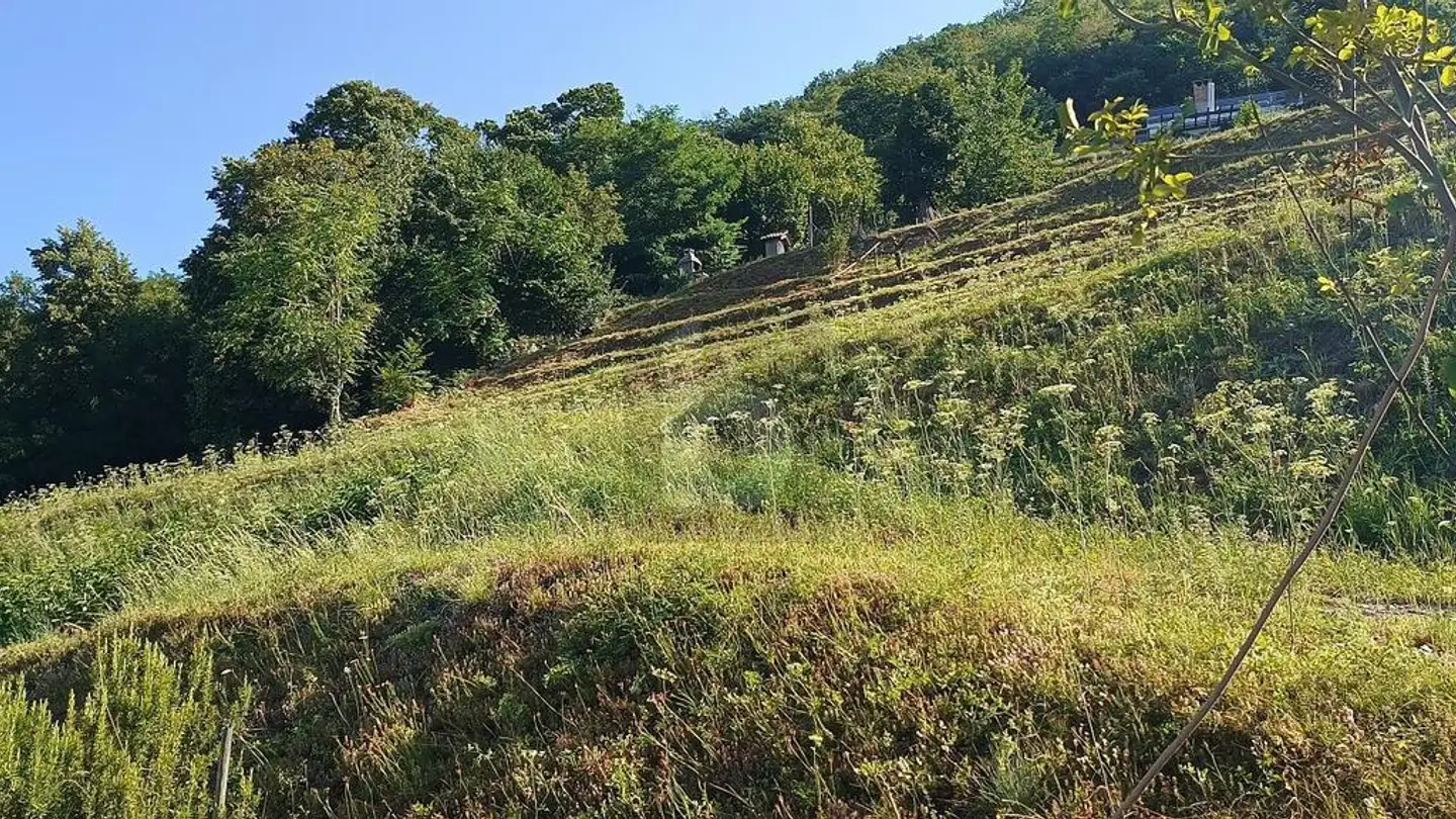 Terrain constructible à vendre - 6821 Rovio - Photo 3