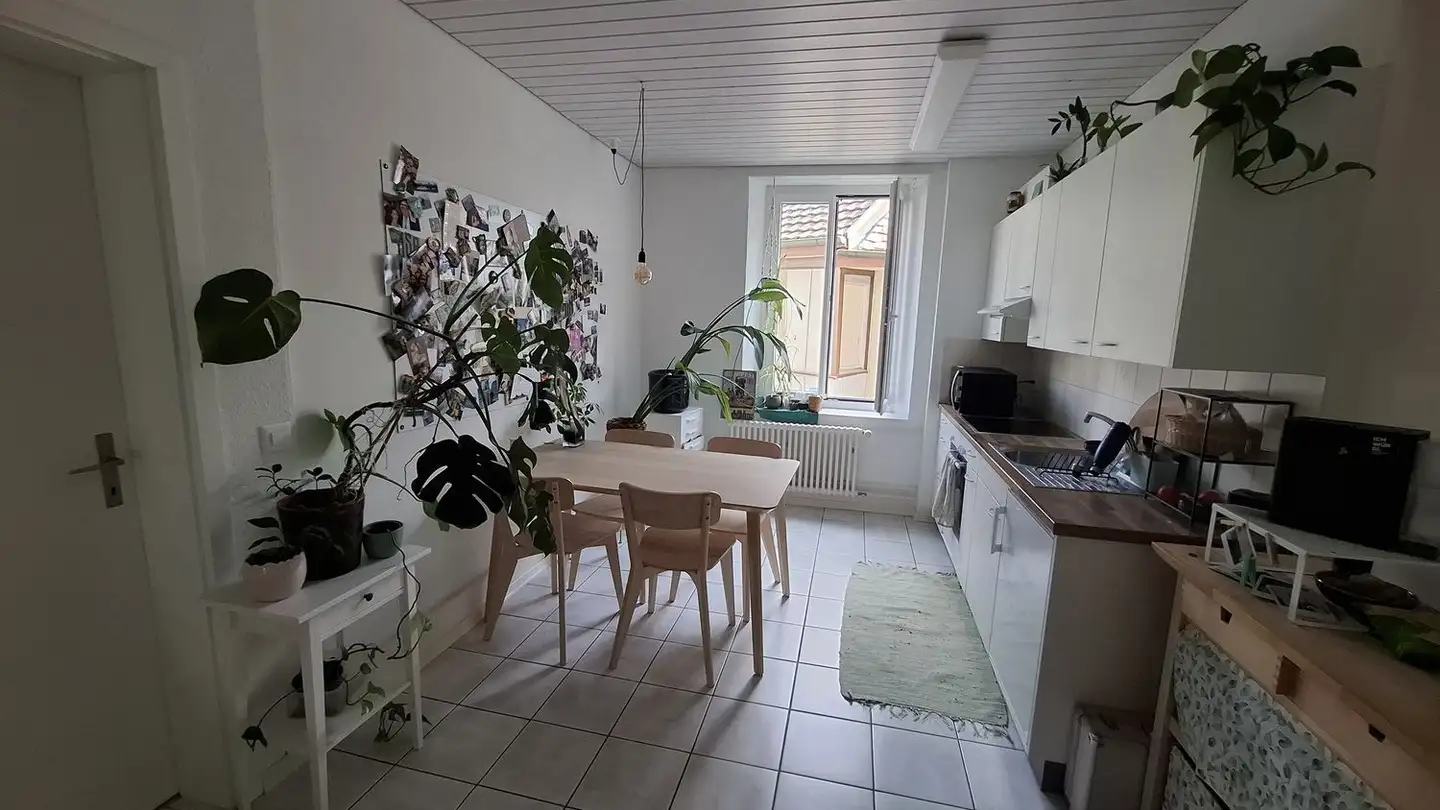 Apartment for rent - Asylstrasse 21, 5000 Aarau