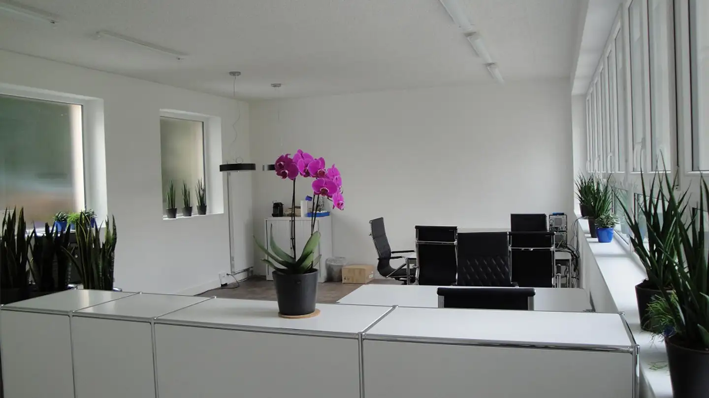 Office space for rent - Rue Schönegg / Schöneggstrasse 5, 2503 Biel/Bienne
