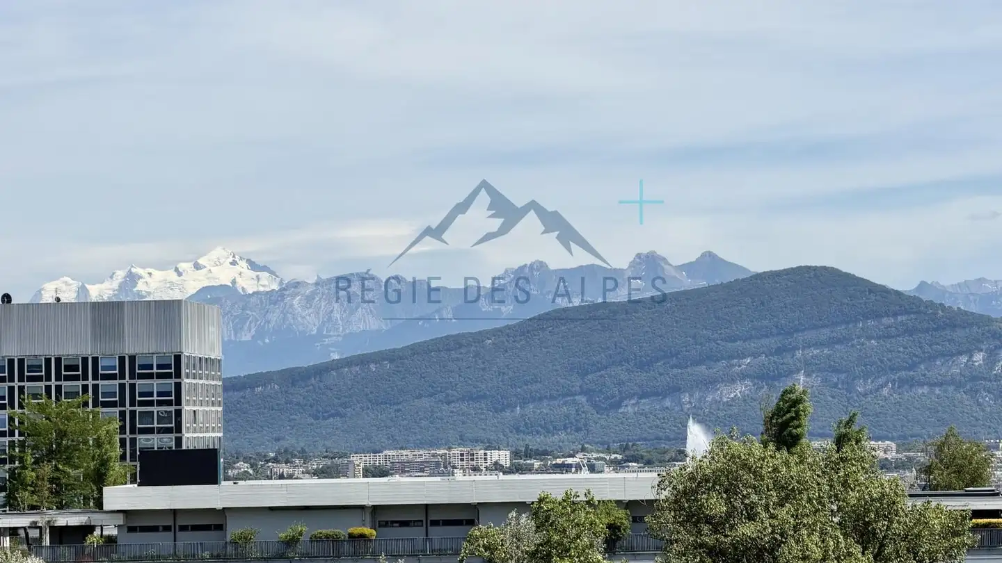 Apartment for rent - Chemin Briquet 18, 1209 Genève