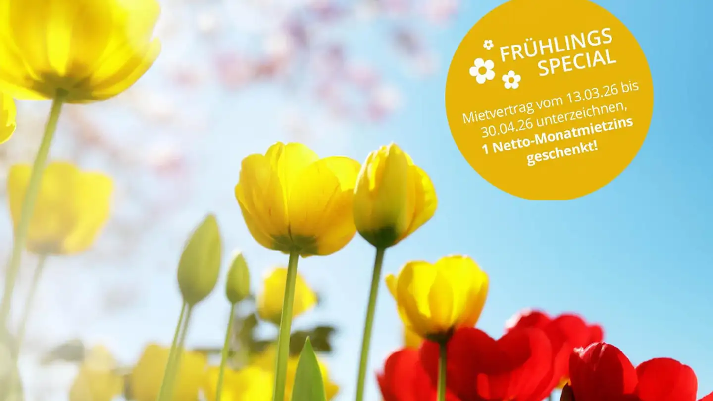 Apartment for rent - Jungfraustrasse 8, 4665 Oftringen