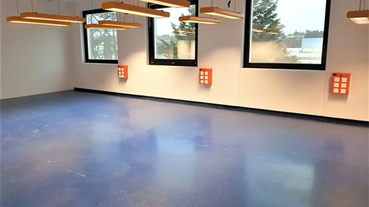 Atelier à louer - Rue Du Pré-De-La-Fontaine 19, 1242 Satigny - Photo 4