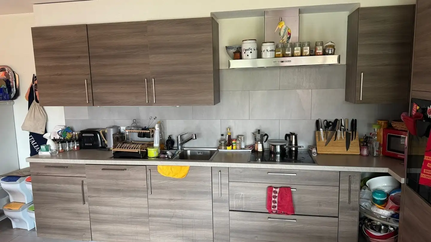 Apartment for rent - Rue De La Gare 1c, 1807 Blonay - Photo 3