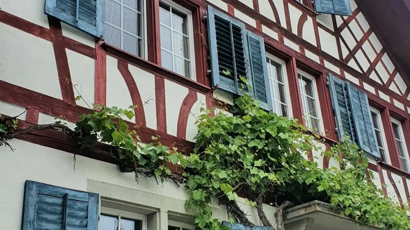 Studio for rent - Dorfstrasse 9, 8314 Kyburg