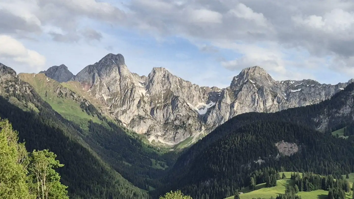 Maisonette kaufen - 1660 Château-d'Oex
