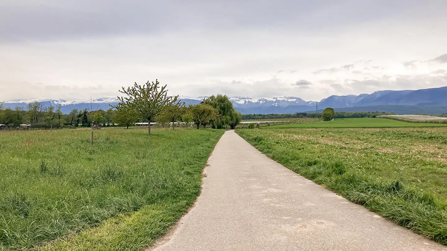 Doppelhaushälfte kaufen - 1295 Mies