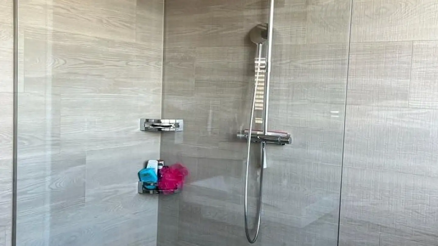 Attique à louer - Bettingerstrasse 26, 4127 Birsfelden - Photo 3