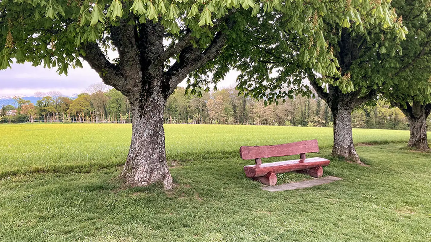 Doppelhaushälfte kaufen - 1295 Mies - Foto 2