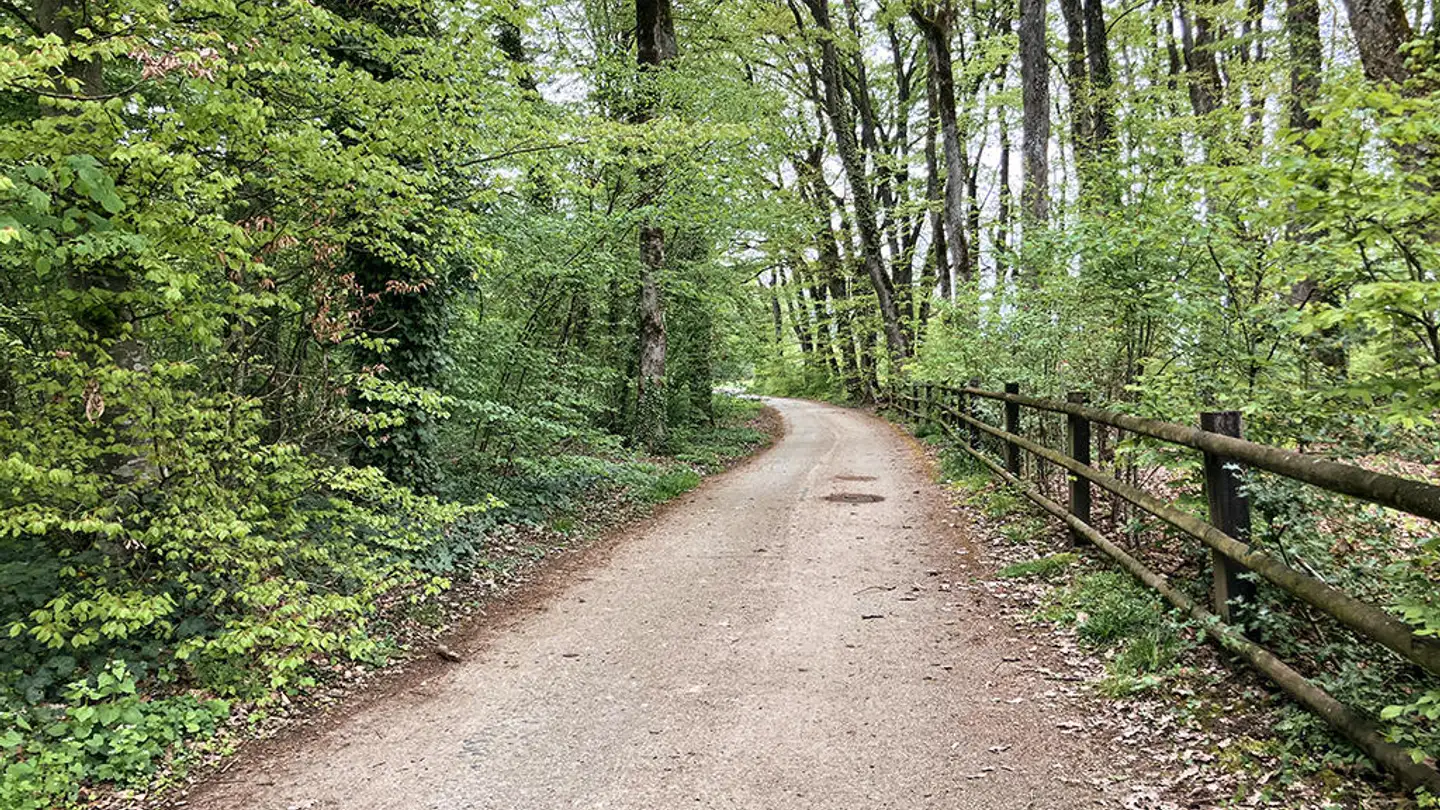 Doppelhaushälfte kaufen - 1295 Mies - Foto 3