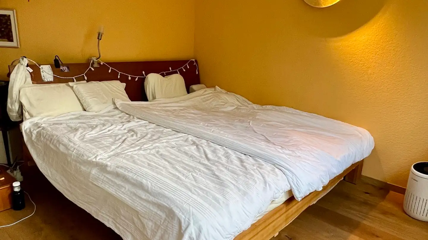 Single house for rent - 4106 Therwil - Photo 4