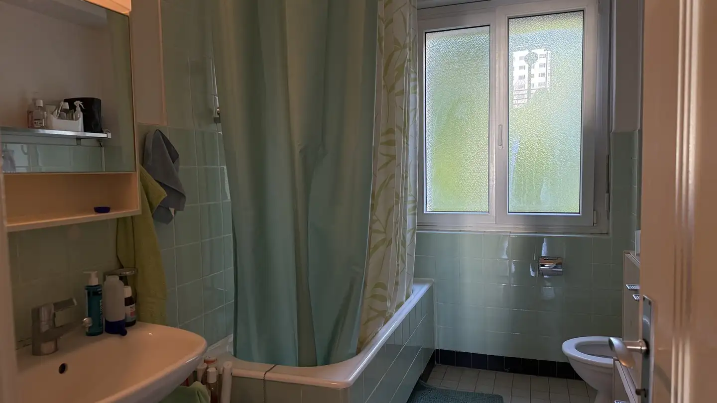 Single room for rent - Route Du Signal 12, 1018 Lausanne - Photo 4