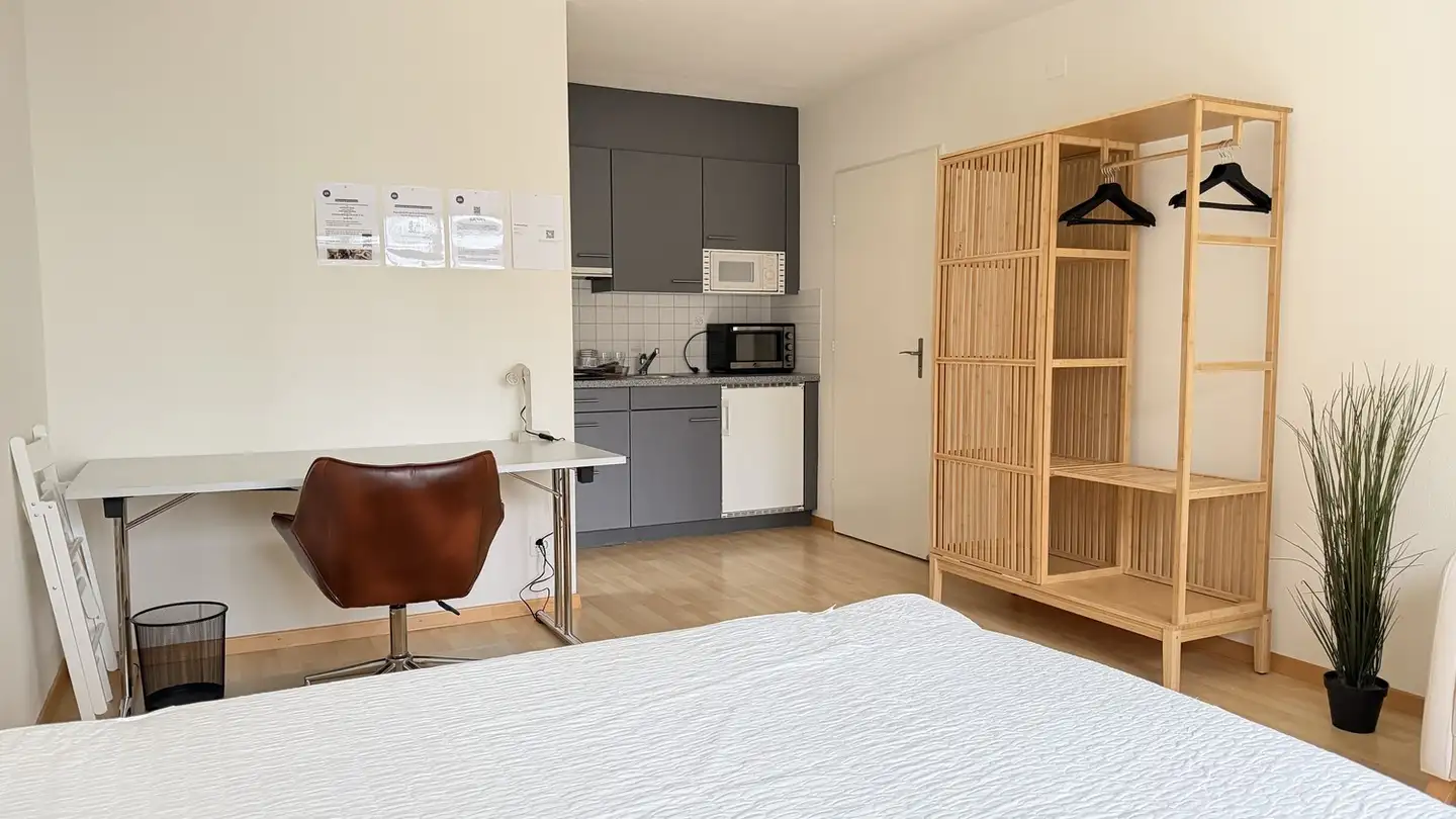 Studio in affitto - Hochstrasse 20, 8044 Zürich