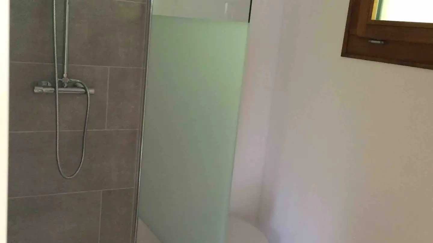 Apartment for rent - 1882 Gryon - Photo 4