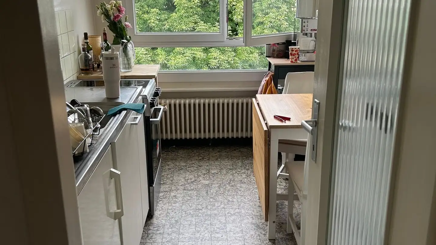 Attic flat for rent - Chemin Du Foron 5, 1226 Thônex