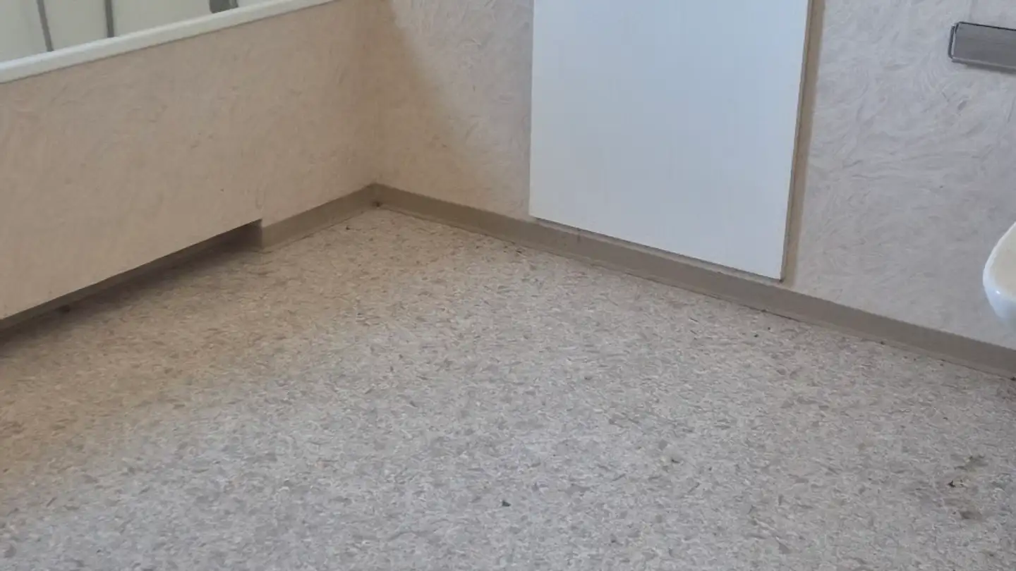 Apartment for rent - Bachtobelstrasse 4, 8570 Weinfelden - Photo 2