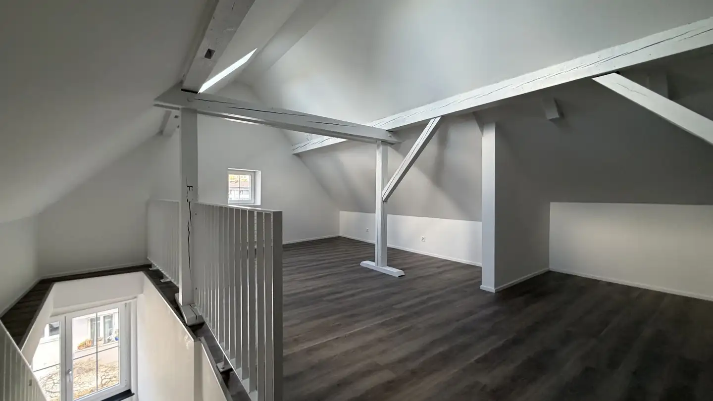 Villa in affitto - Witikonerstrasse, 8053 Zürich