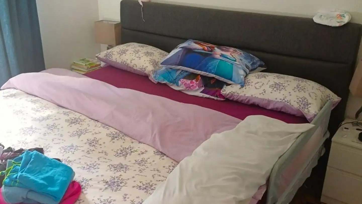 Appartement à louer - Seestrasse 56, 8942 Oberrieden - Photo 2