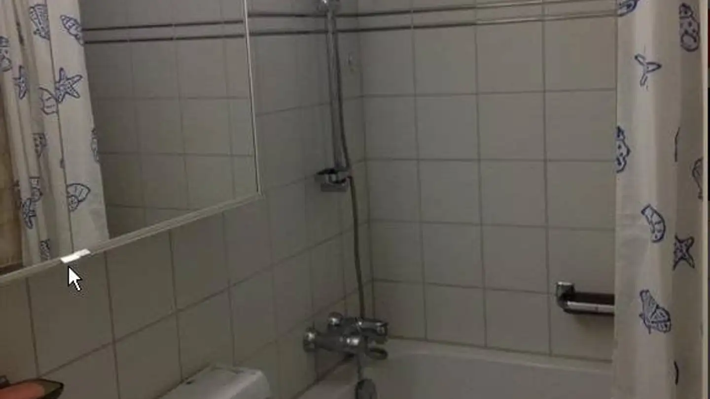 Appartamento in affitto - Gundeldingerstrasse, 4053 Basel - Foto 4