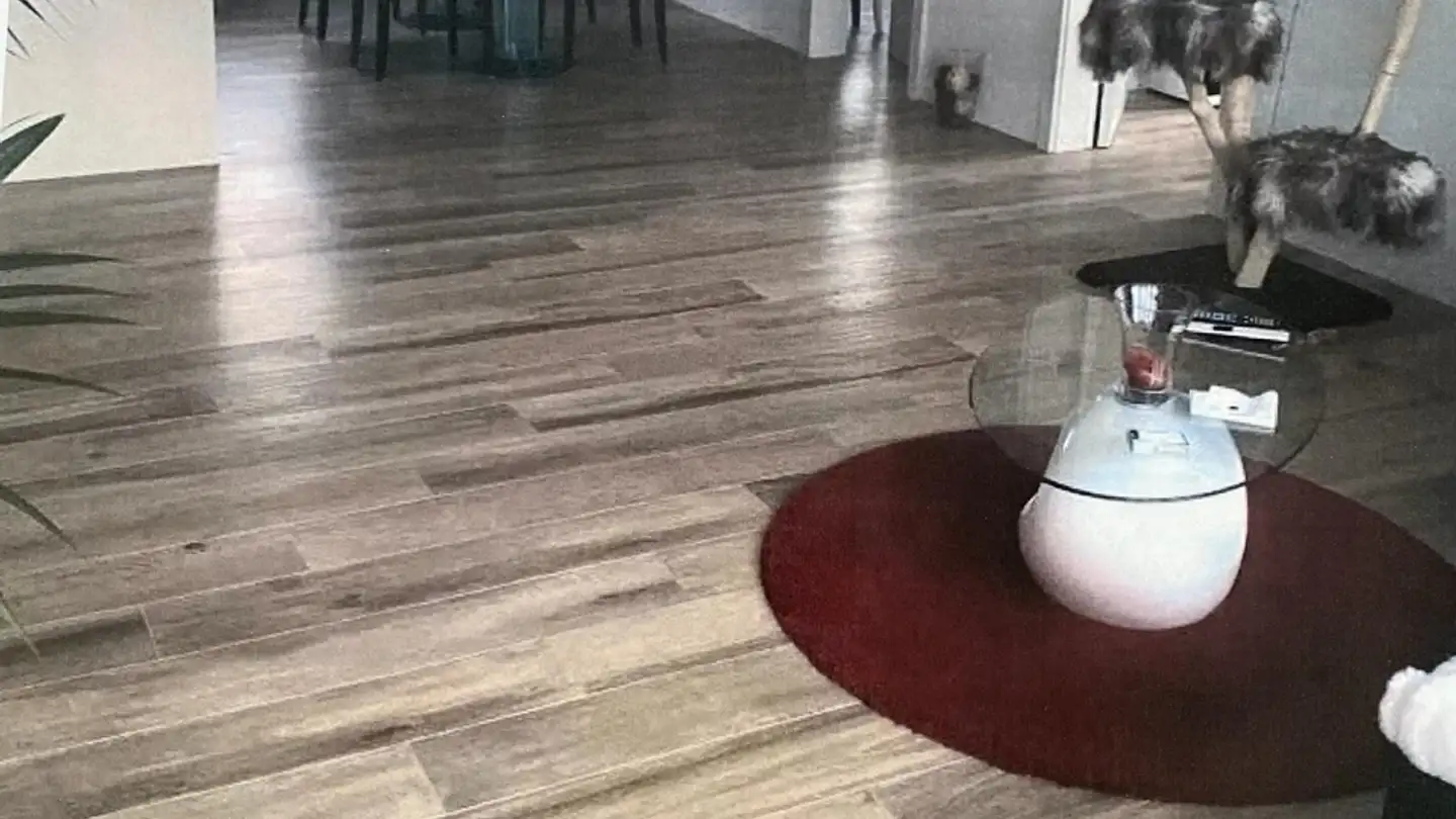 Appartement à louer - 3176 Neuenegg - Photo 2