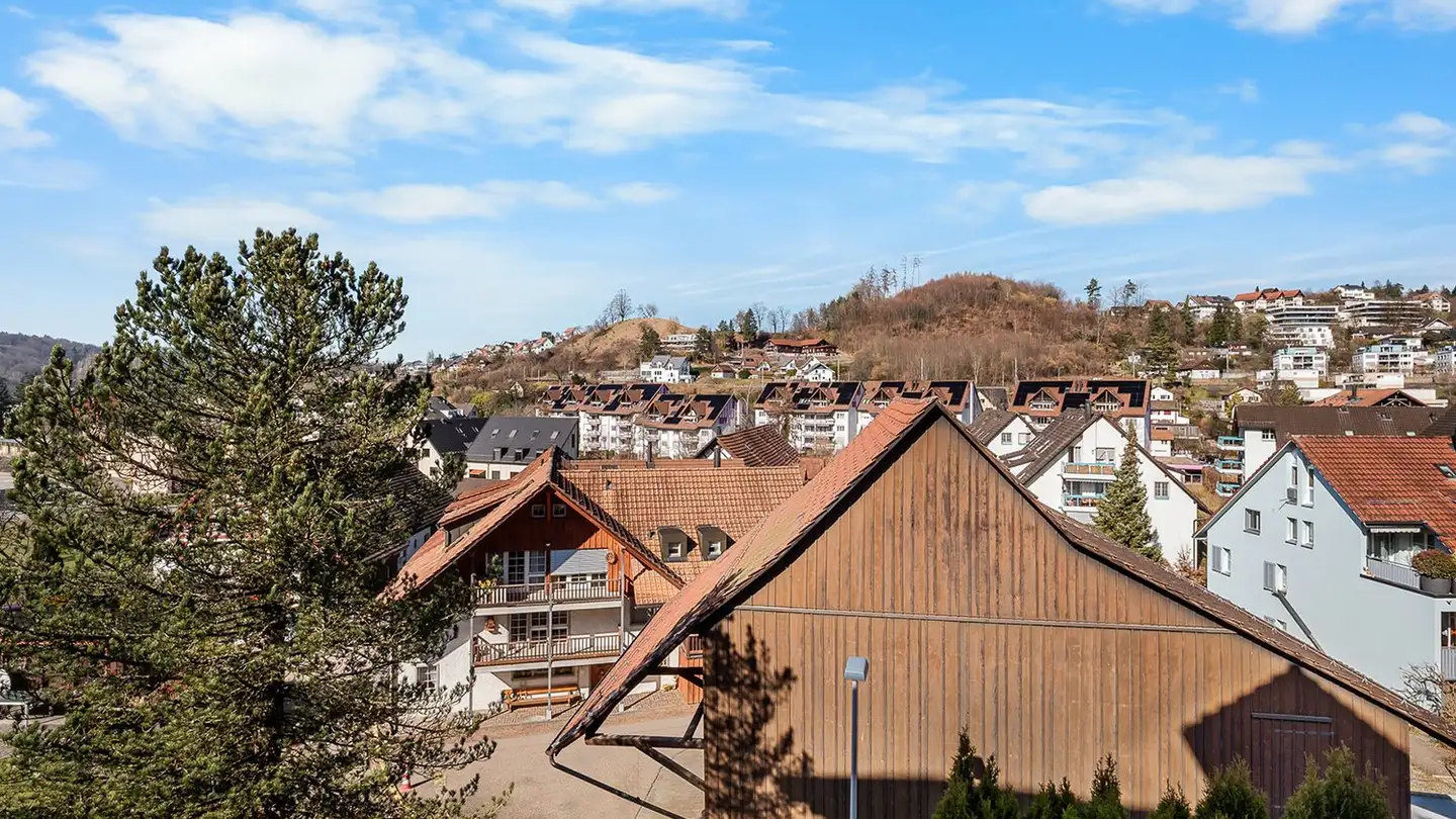 Maison en terrasse à vendre - 8903 Birmensdorf ZH - Photo 2
