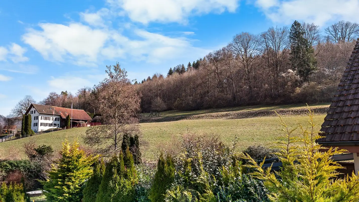 Maison en terrasse à vendre - 8903 Birmensdorf ZH - Photo 4
