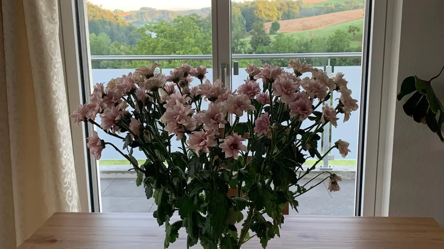 Single room for rent - Weidweg, 5702 Niederlenz