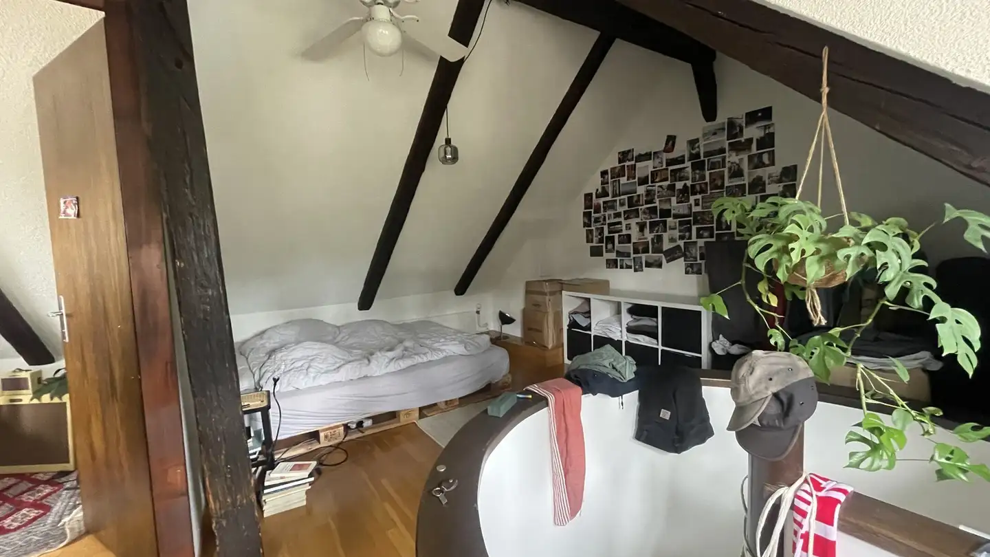 Stanza singola in affitto - 8400 Winterthur