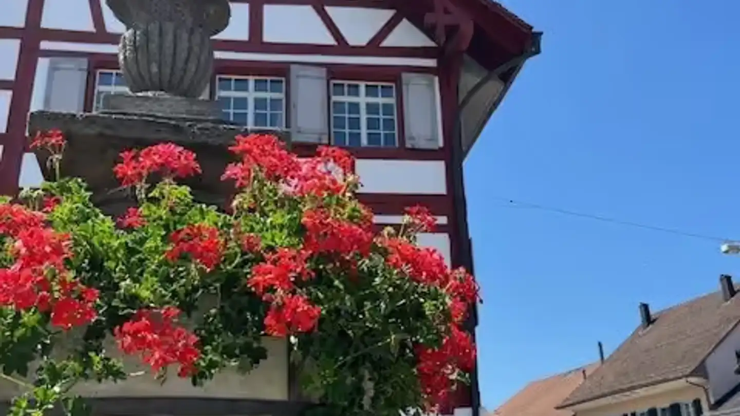 Wohnung mieten - Vordergasse 16, 8353 Elgg