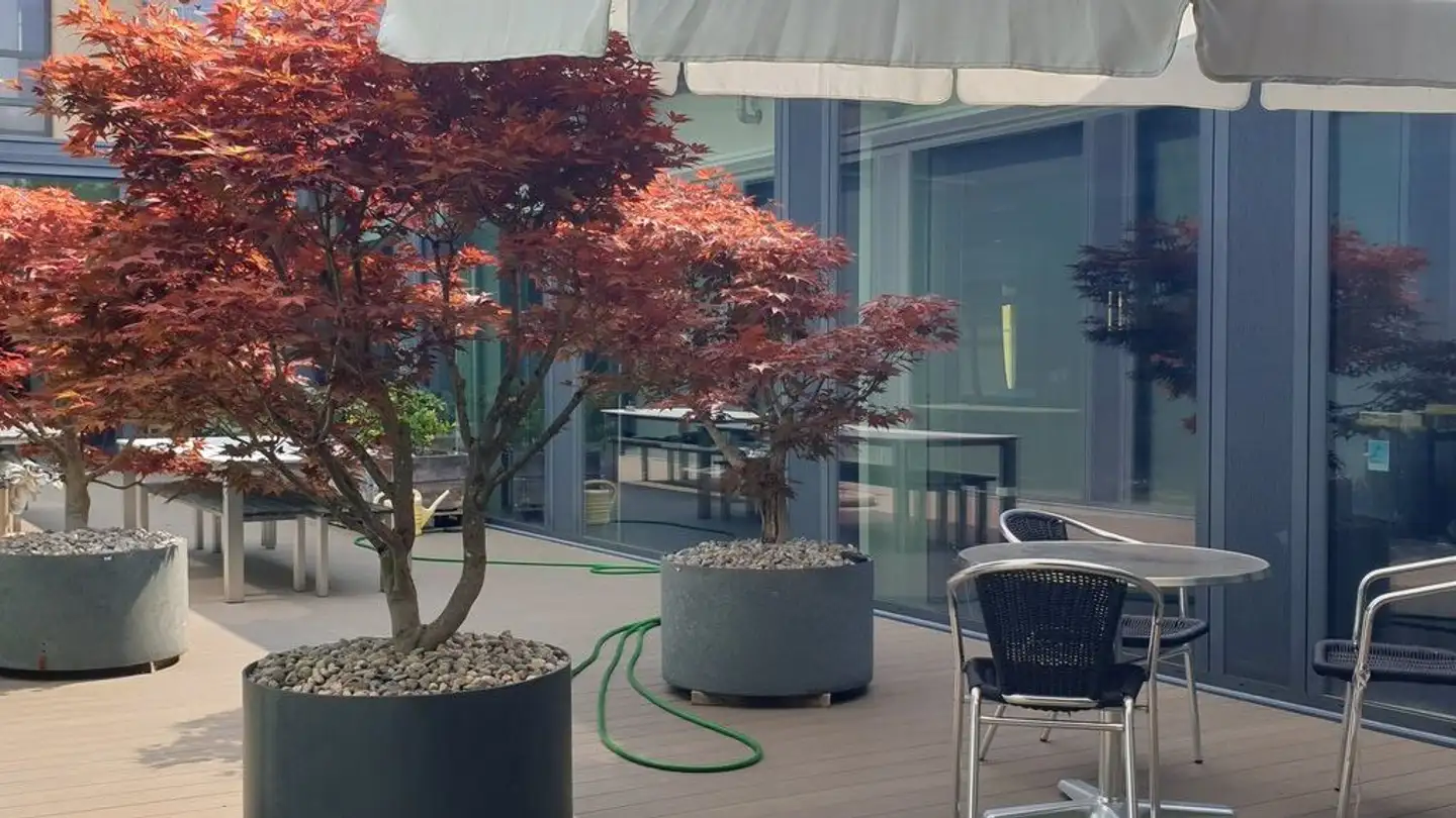 Spazio ufficio in affitto - Rue Centrale / Zentralstrasse 115, 2503 Biel/Bienne - Foto 4