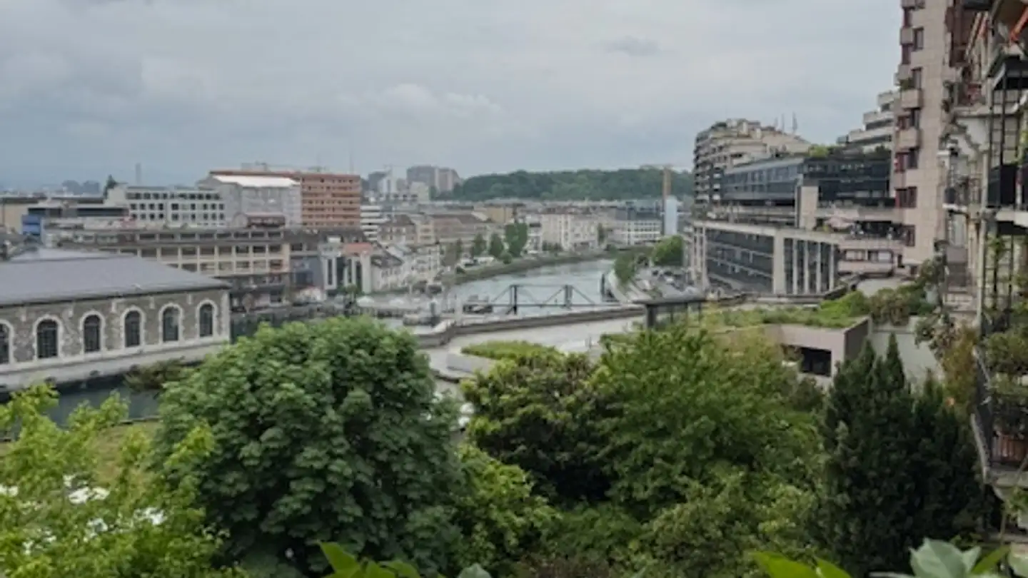 Appartement à louer - Rue Des Ormeaux, 1201 Genève
