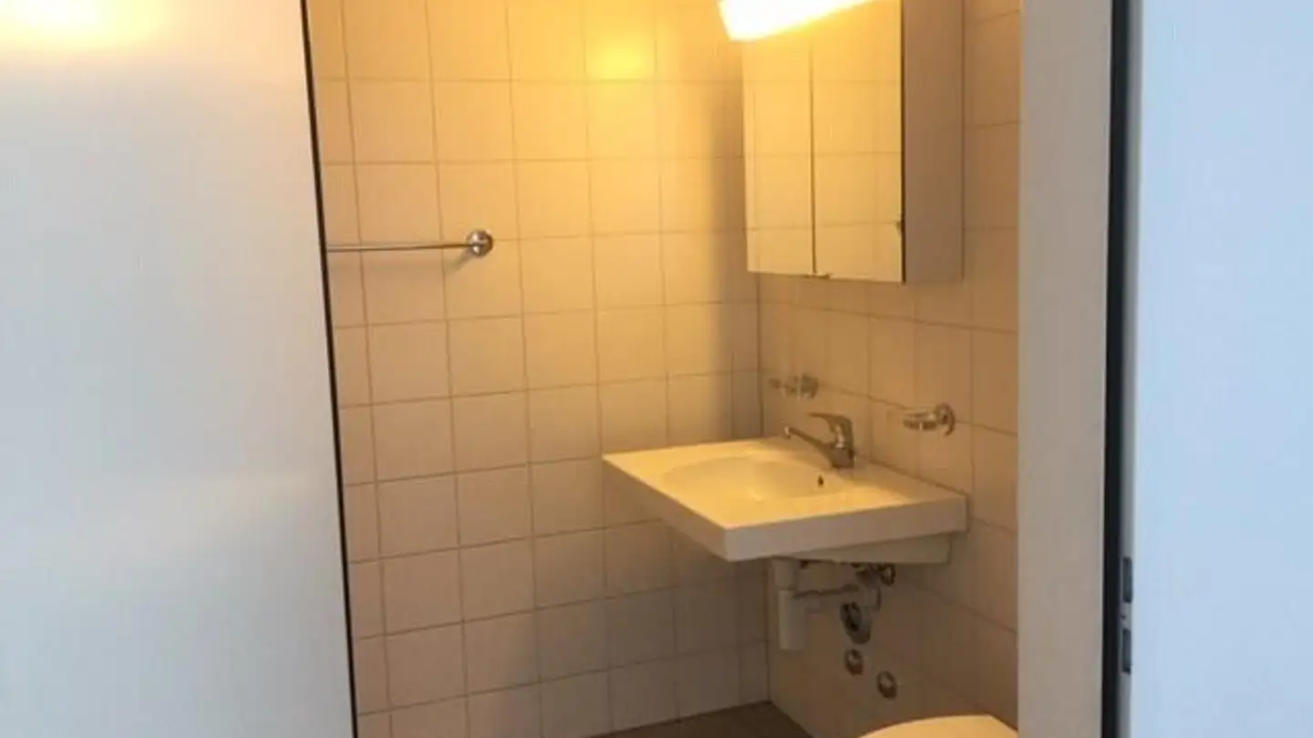 Appartement à louer - Schaffhauserstrasse 476b, 8052 Zürich - Photo 3