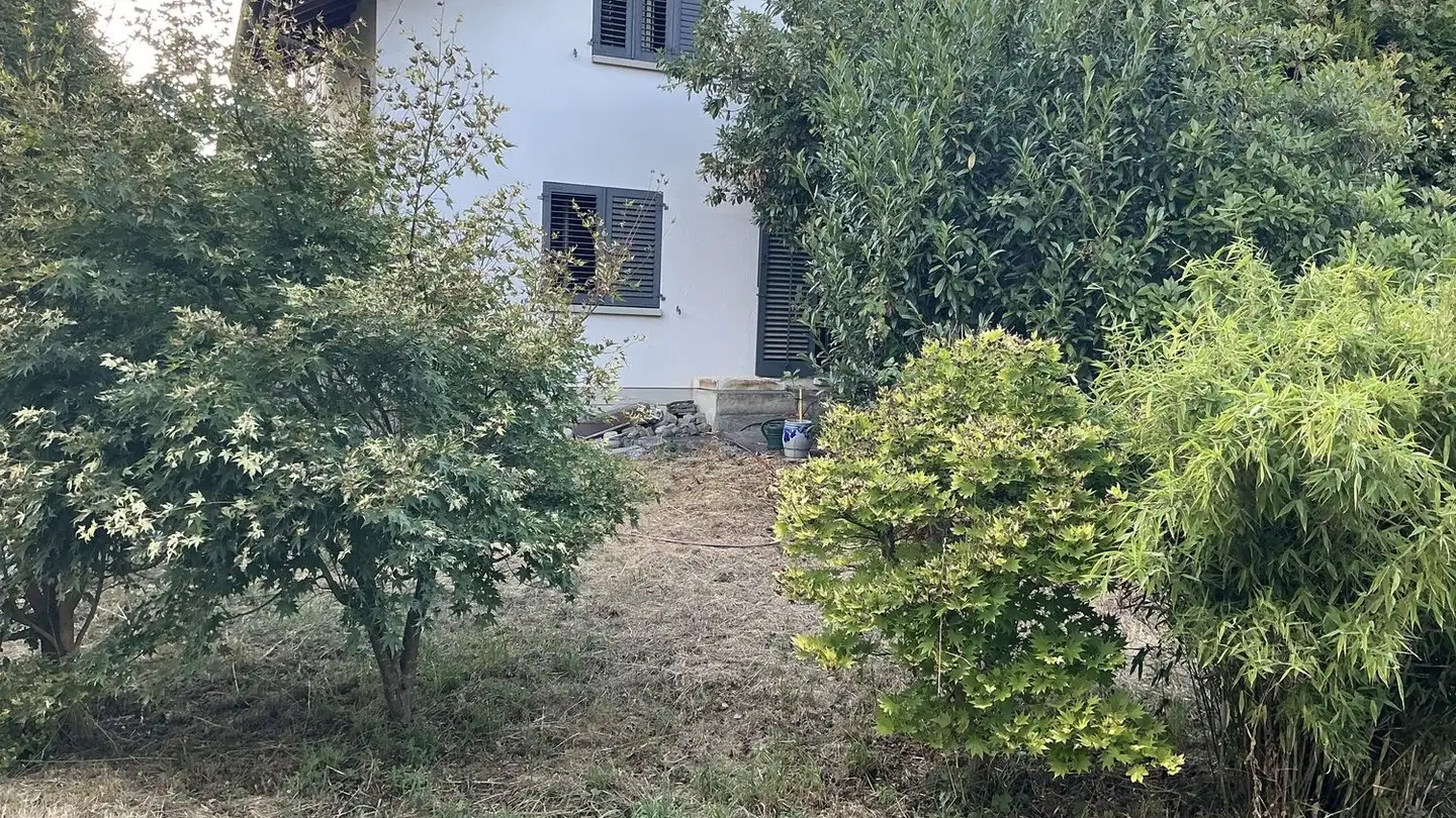 Wohnung mieten - Aeschstrasse 347, 5276 Wil AG - Foto 3
