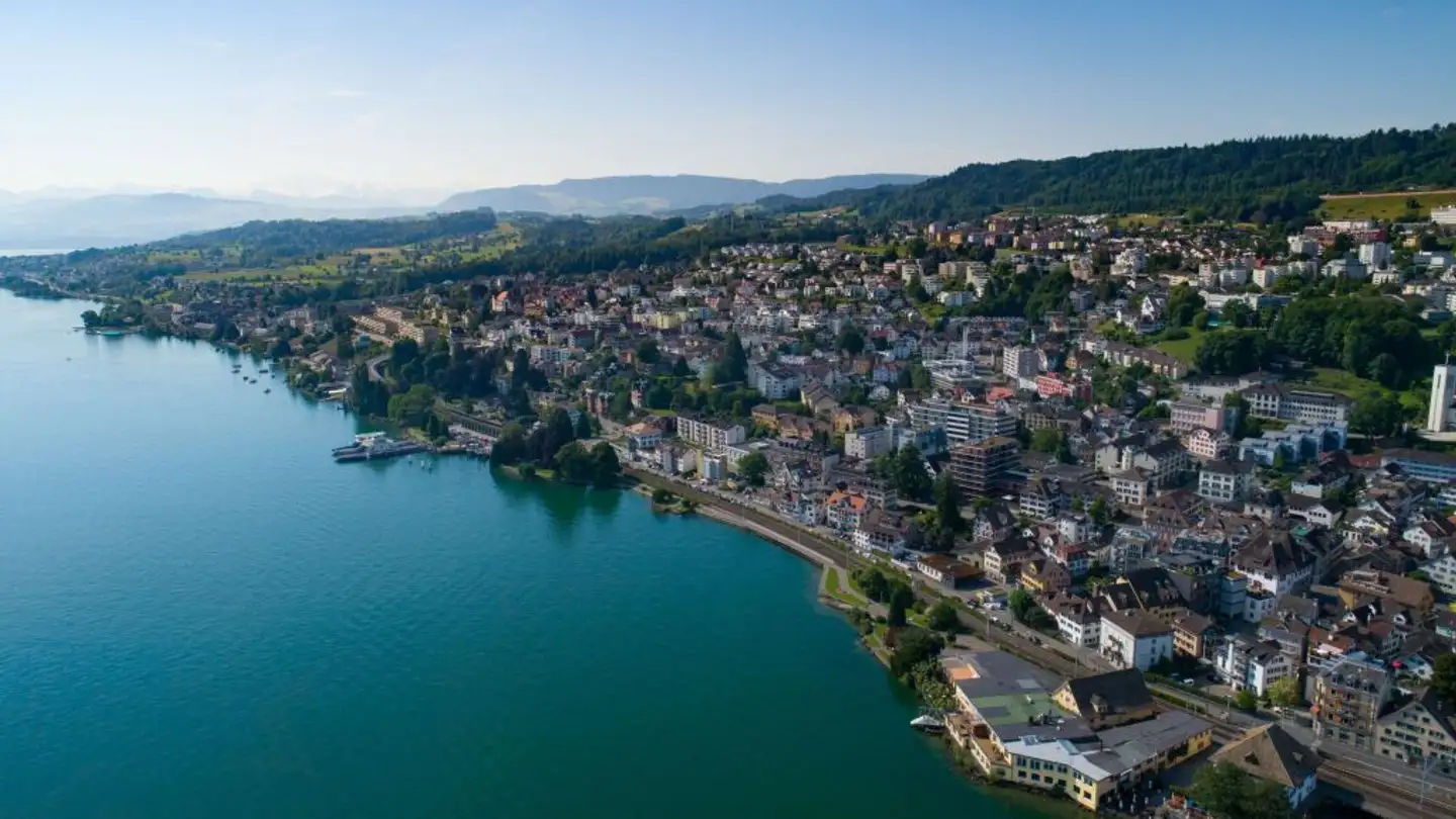 Einfamilienhaus kaufen - 8810 Horgen
