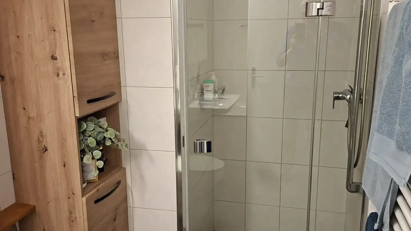 Appartamento in affitto - Pleerweg 21, 3400 Burgdorf - Foto 4