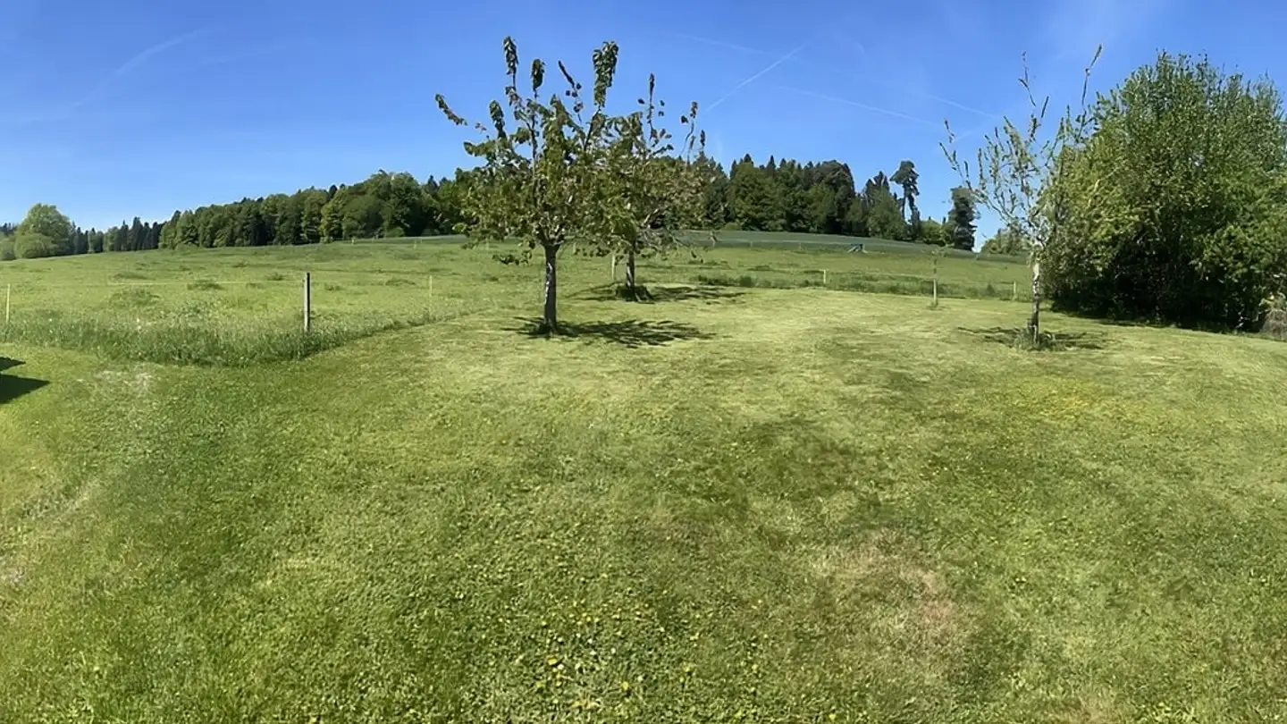 Terrain constructible à vendre - Dorf 32, 4933 Rütschelen